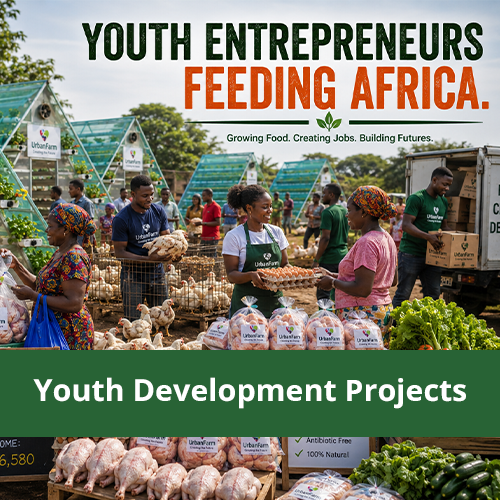 Youth Development Projects